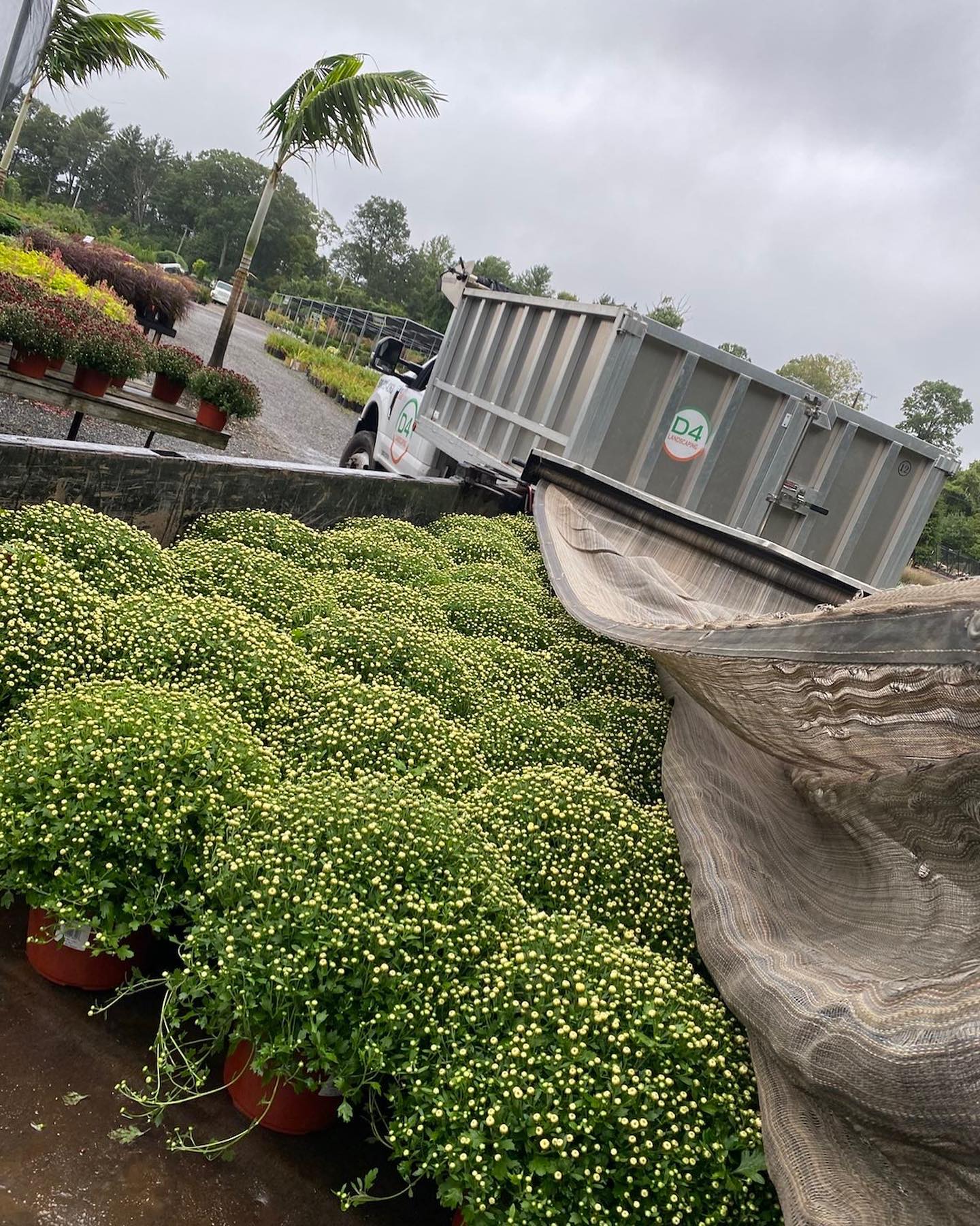 D4 Landscaping Project